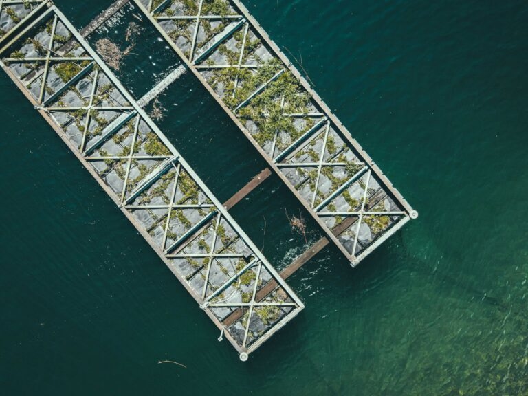 CKA vs CKAD: Which Kubernetes Cert Should You Get A drone captures an overwater metallic structure with algae, creating a geometric pattern against the blue sea.